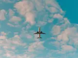 Stay and Fly
