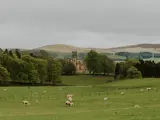 Far away shot of the castle with a field in front