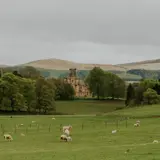 Far away shot of the castle with a field in front