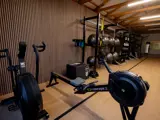 Assault Bike and Concept Rowing Machine Equipment